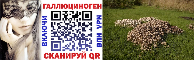 как найти закладки  Унеча  Галлюциногенные грибы Psilocybe 